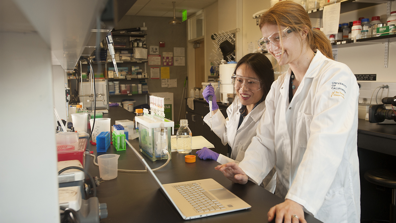 Professor Daniela Barile and student Tian Tian work together on her laptop computer in the lab.